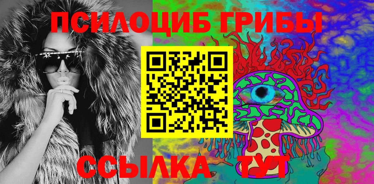 Псилоцибиновые грибы Psilocybe Кондопога