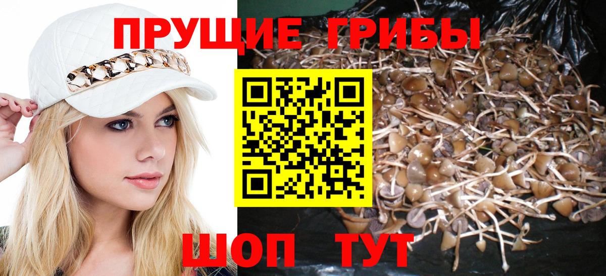 Псилоцибиновые грибы ЛСД  Вход с VPN  Кондопога 